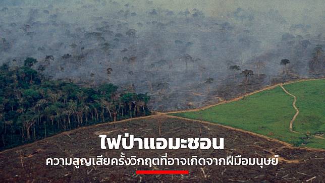 ไฟป่าแอมะซอน ความสูญเสียครั้งวิกฤตที่อาจเกิดจากฝีมือมนุษย์