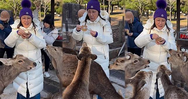 阿姐日前遊奈良，其間被鹿群圍住搶食，而她的羽絨也被小鹿咬住。（Ig影片截圖）