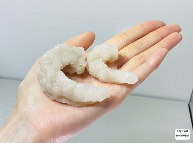 韓國新創公司CellMEAT正在研發推出不同尺寸大小的細胞培養「獨島蝦」產品。（圖片來源：CellMEAT官網）