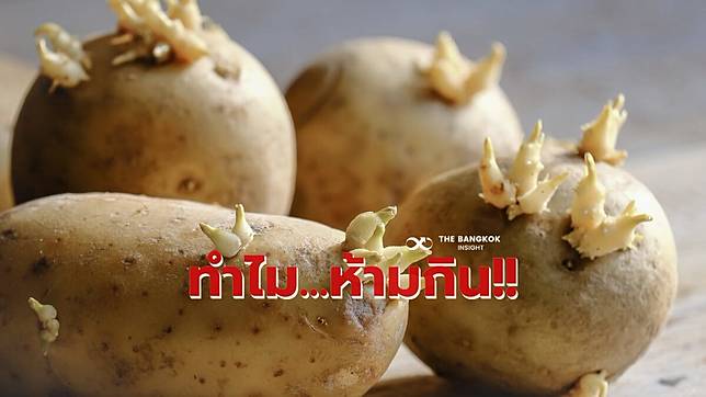 อย่าเผลอกิน !! ‘อาจารย์เจษฎา’ เตือน ‘มันฝรั่งงอก ห้ามกิน’