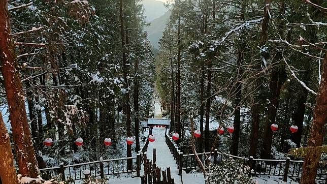 太平山國家森林遊樂區絕美雪景。（圖／ 林保署宜蘭分署提供）