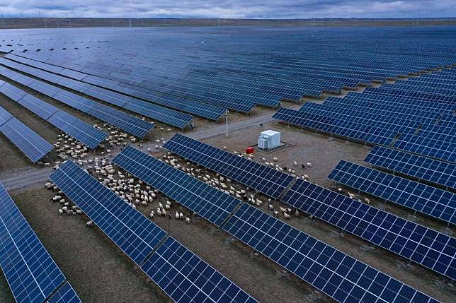 An aerial drone photo taken on June 9, 2022 shows a flock of sheep roaming between solar panels at a solar photovoltaic power plant in Gonghe County, Hainan Tibetan Autonomous Prefecture in northwest China's Qinghai Province. (Xinhua/Zhang Long)
