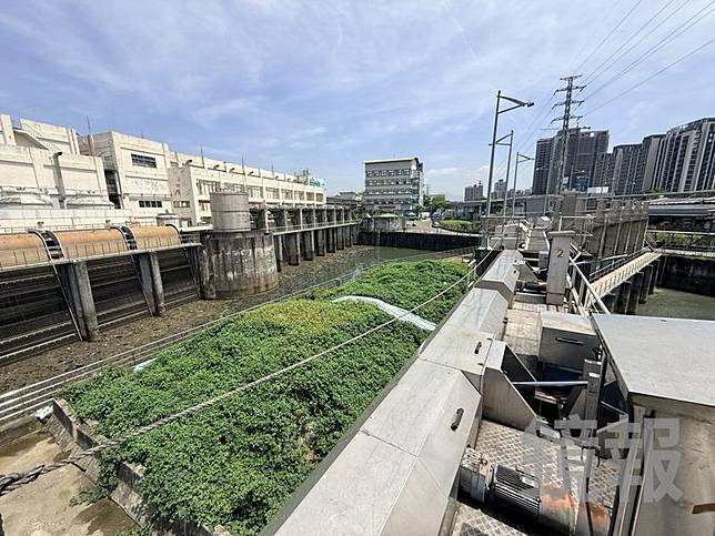 汛期將至，但新北市板橋區湳仔溝抽水站內堆放的淤泥小山，已長滿雜草且面積約2個籃球場大。呂健豪攝