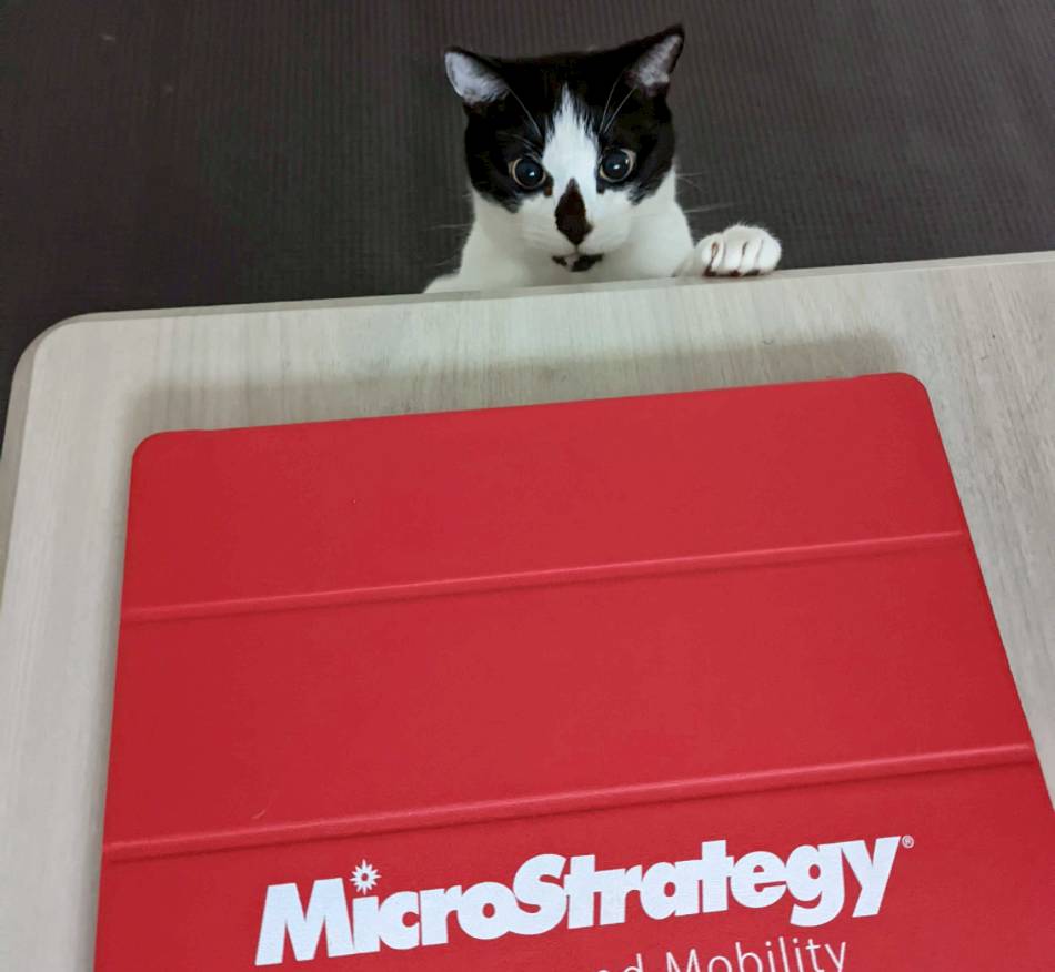 MicroStrategy 再加碼，比特幣持有量超過14 萬顆| 科技新報| LINE TODAY