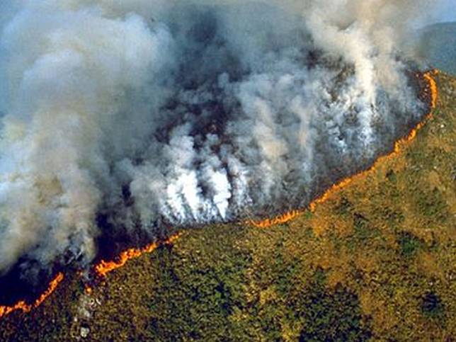 亞馬遜森林在燒 環保團體指向人禍