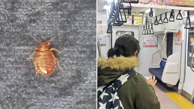 日本網友分享自己在電車上看見疑似是臭蟲的生物。（圖／翻攝自@PrectiveGallery推特）