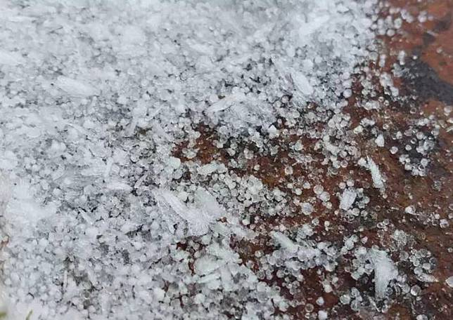 強烈大陸冷氣團來襲，玉山昨日下起冰珠，並有短暫降雪，積雪零點五公分，高山區像被撒了糖霜。（記者陳金龍翻攝）
