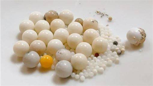 [討論] 趙東年 2008年取得'舍利子製作'專利