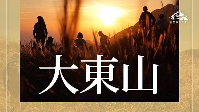 大東山芒草行山路線 難度最低、交通、景點及往跳板石教學