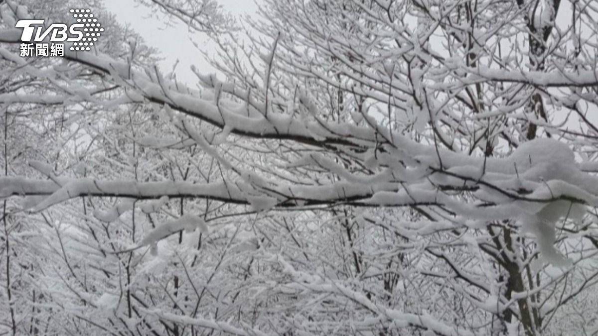 日本最長寒流暴雪！滋賀積雪量飆9.3倍京都一夜變銀白世界| TVBS | LINE TODAY