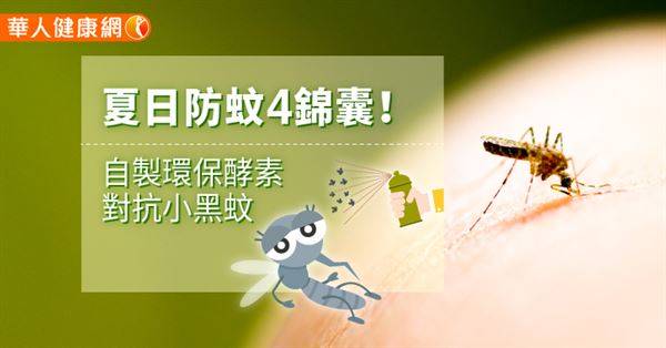 夏日防蚊4錦囊！自製環保酵素對抗小黑蚊