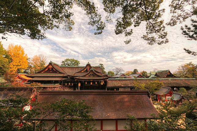 
<p>圖源：<a href=