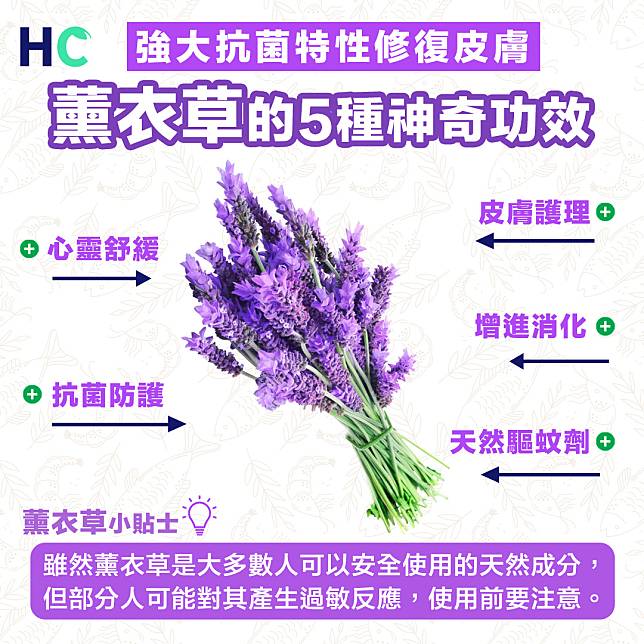 【心靈之花】薰衣草5種神奇功效  強大抗菌特性修復皮膚問題