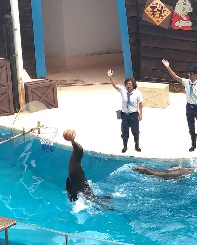 圖片來源：IG @chiu821129