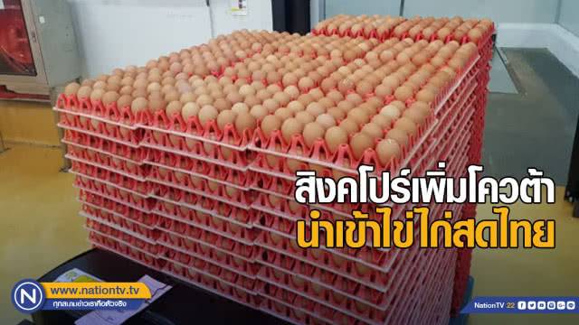 สิงคโปร์เพิ่มโควต้าเพื่อนำเข้าไข่ไก่สดไทยอีก 10.8 ล้านฟองต่อเดือน