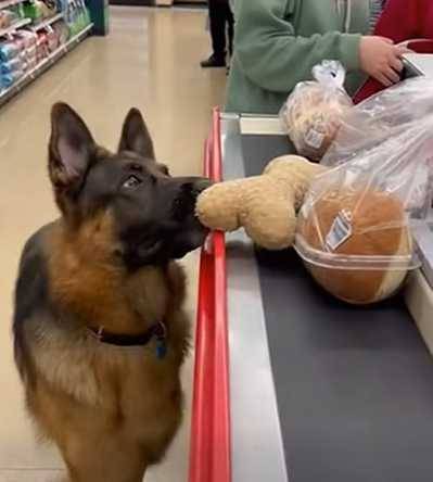 狗狗想買娃娃，把東西丟上收銀台。（圖／翻攝自臉書）