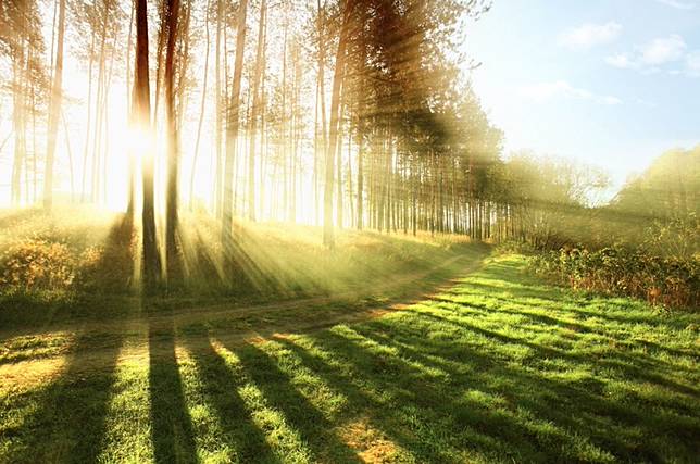 শীতকালের আগমন: খাদ্য, পোশাক, আশ্রয়, যানবাহন, শিক্ষা ও ভাগ্য - একসাথে জেনে নিন ফেং শুই বিশেষ - News Directory 3