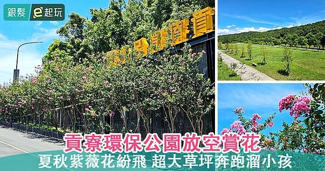 新北貢寮環保公園｜生態池畔整排落羽松秘境！一日生活散策貢寮車站及老街