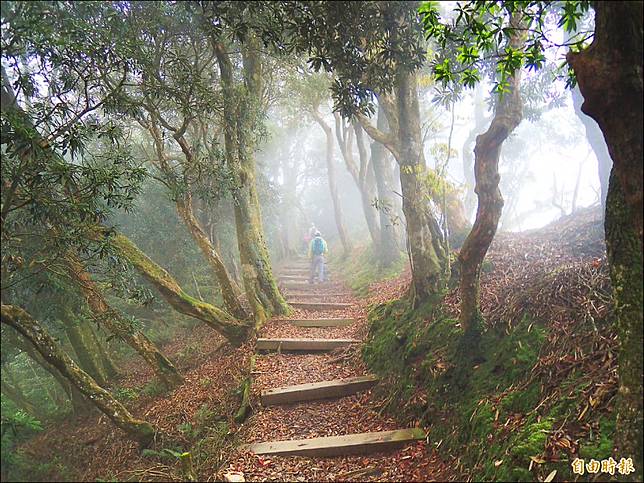 屏東林管處宣布暫時封閉高屏境內所管轄的10餘處登山步道，包括每年超過2萬人次朝聖的北大武山國家步道，盼山友們配合防疫。(記者李立法攝)