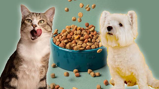Thai pet food sector envisions bright prospects