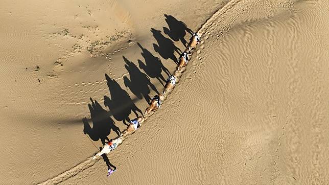 An aerial drone photo taken on Oct. 3, 2024 shows tourists riding camels at the Qixing Lake scenic spot in the Kubuqi Desert, in Ordos of north China's Inner Mongolia Autonomous Region. (Xinhua/Bei He)