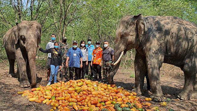 “ช้างไม่อด” ปศุสัตว์เยียวยาหญ้าแห้ง เตรียมช่วยเกษตรกร 5 พัน