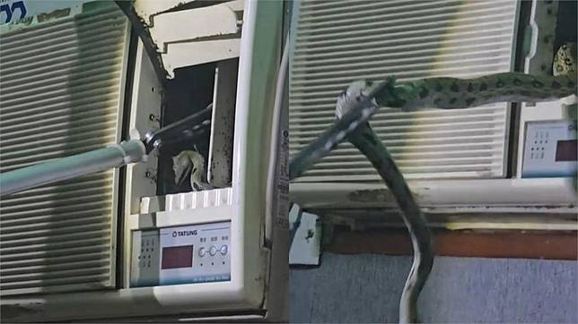冷氣不涼嘉義男看出風口驚見「1活體」！房內出現不明物他嚇瘋「同居好幾天」