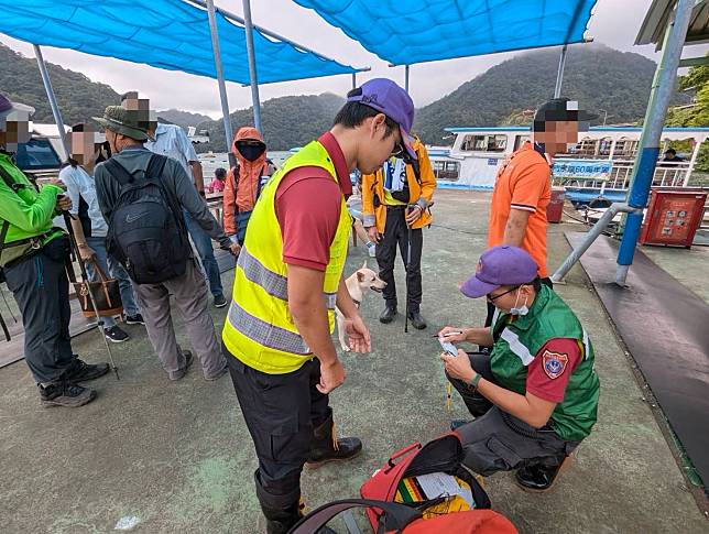 桃園市復興區仙島部落有登山客遭蜂螫。圖：讀者提供