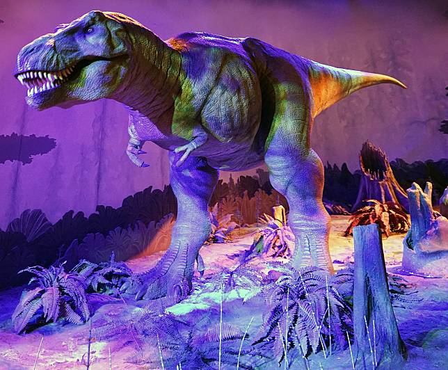 霸王龍是一種類似鳥類的食肉恐龍，生活在6600萬年前的地球上。 Newscom / 達志影像