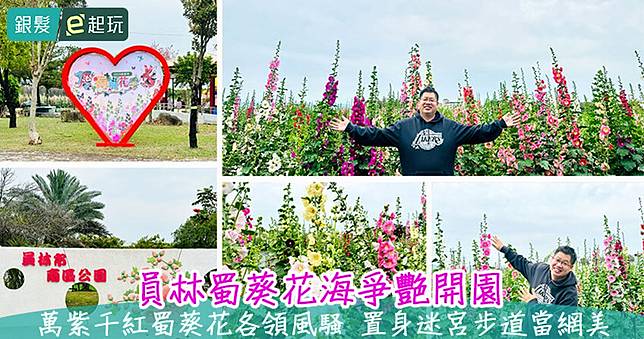 2025員林蜀葵花季｜4月開園！南區公園打造超過2萬株一丈紅，讓你迷失蜀葵花迷宮中拍照捨不得出來，夜晚閃耀賞燈！
