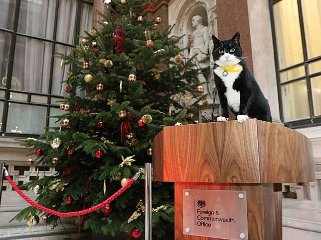 英外交捕鼠官帥氣回歸　死對頭賴瑞暖祝賀：聖誕節我只要你！