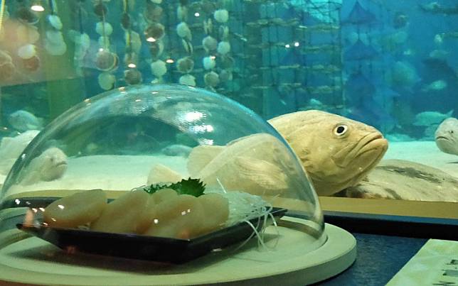 在活生生的海洋生物前展示牠們變成料理後的樣子！水族館結合美味的「食材教育」