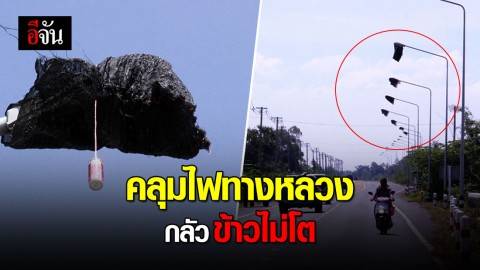 ชาวบ้านบุรีรัมย์ กลัวข้าวไม่โต นำกระสอบคลุมหลอดไฟทางหลวง