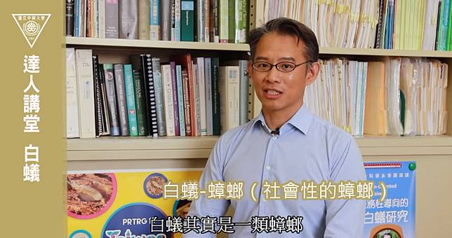 大水蟻其實是「特化型蟑螂」！專家揭真相　網友崩潰：請讓我繼續無知