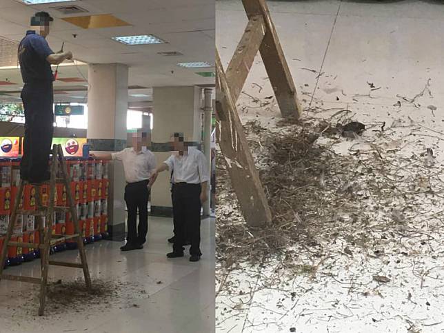 大埔商場有鳥巢遭人粗暴拆毀。網民Suet Wa圖片