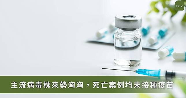 流感高峰期逼近！今年主流病毒株H1N1來勢洶洶