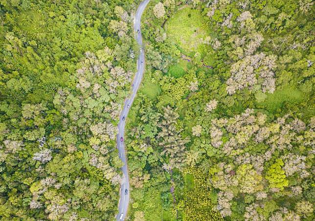 An aerial drone photo taken on Jan. 26, 2023 shows a view of the Hainan Tropical Rainforest National Park, in Wuzhishan City, south China's Hainan Province. (Xinhua/Pu Xiaoxu)