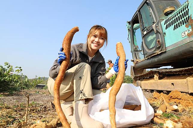 Luo Yanli shows newly-harvested cassava in Jiangmen, south China's Guangdong Province, Dec. 20, 2024. (Xinhua/Tian Jianchuan)