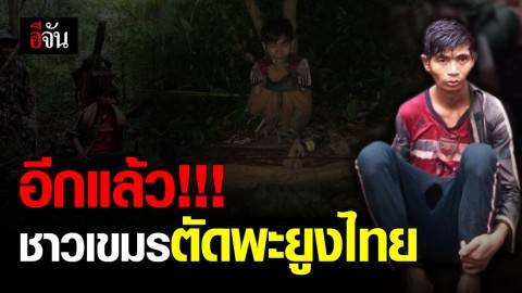 วัยรุ่นชาวเขมร แบกเลื่อย เข้าป่าสงวนห้วยศาลา ลอบตัดไม้พะยูงไทย