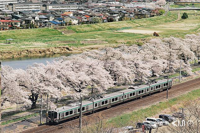 JR EAST PASS (Tohoku area) ฤดูใบไม้ผลิ ชมซากุระ มิยากิ ฟุกุชิมะ 