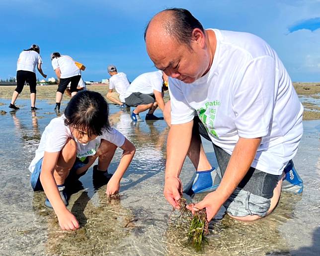 海草床、紅樹林方法學送審 補加強監測、防洪評估