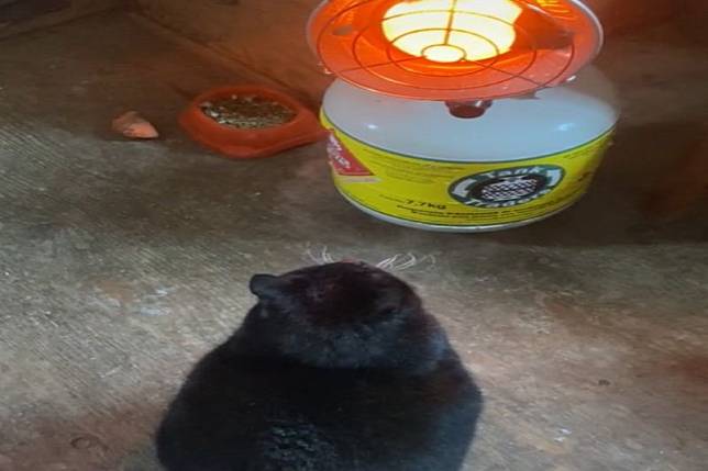 貓咪爽坐暖爐前「曬到冒煙」！網笑：烤焦變黑炭了