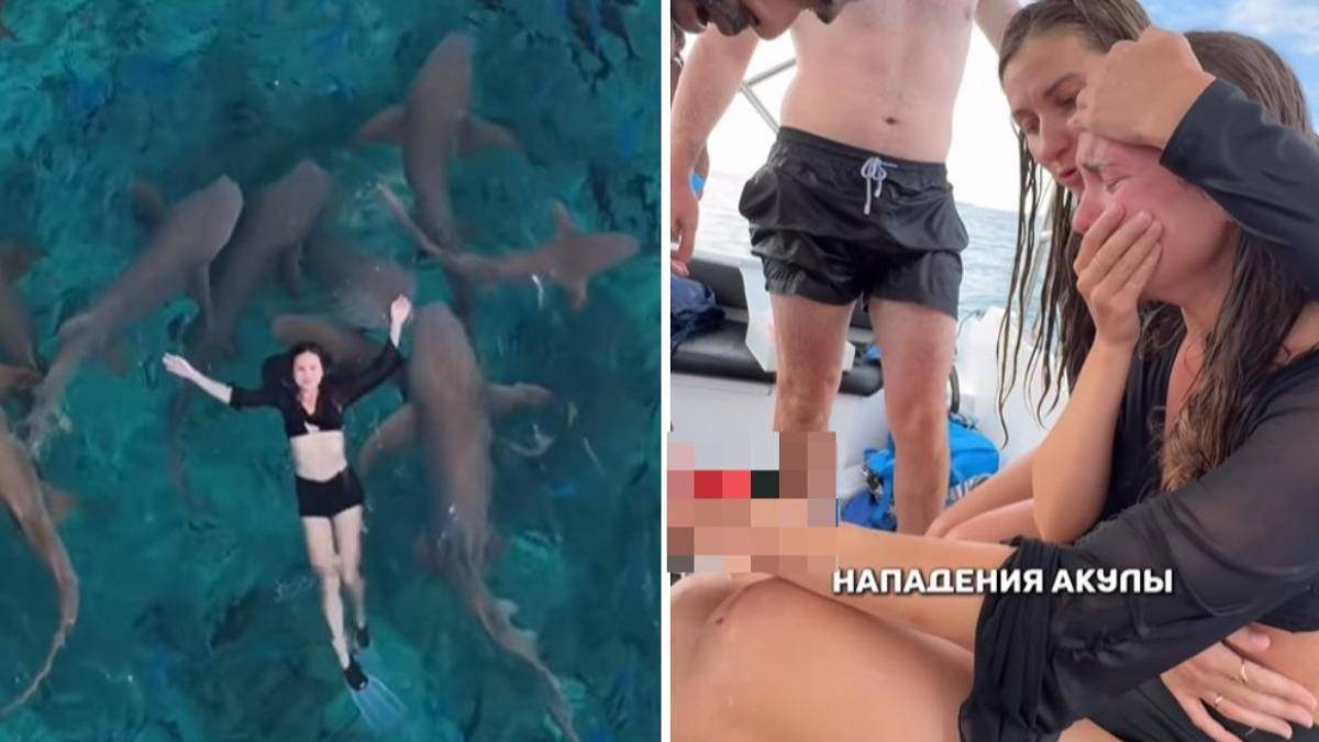 Internet Celebrity Bitten by Shark: Heartbreaking Moments Captured