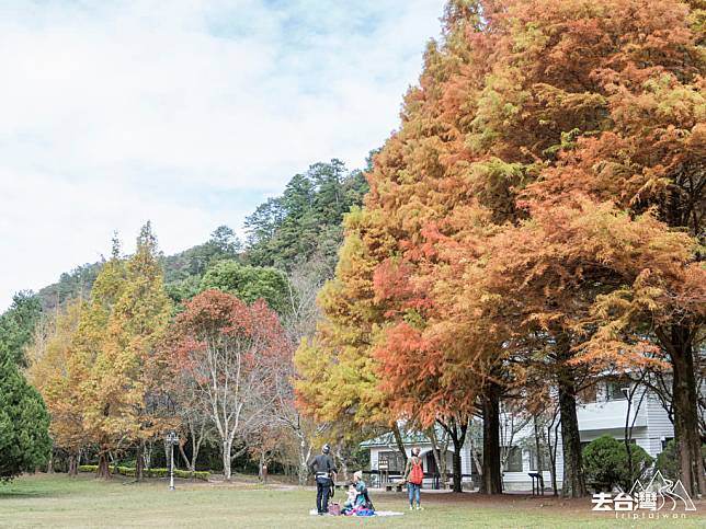 奧萬大 台灣紅葉