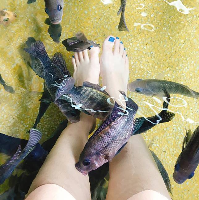 照片來源：IG @michong11