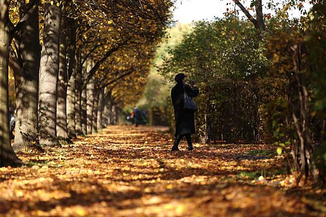 A woman walks in Regent's Park in London, Britain, Oct. 24, 2024. (Xinhua/Li Ying)