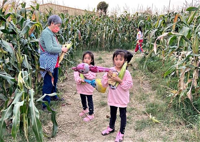 東山區公所舉辦「玉米迷宮食樂趣」，吸引不少民眾闔家大小前來同樂。（公所提供）