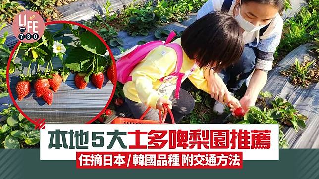 親子好去處2025｜本地5大士多啤梨園推薦 任摘日本/韓國品種 附交通方法