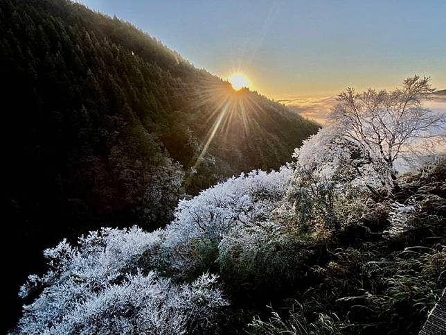 春節假期，北部的拉拉山和太平山也有機會降雪。(資料照，圖為太平山霧淞) 圖：翻攝自太平山國家森林遊樂園區臉書