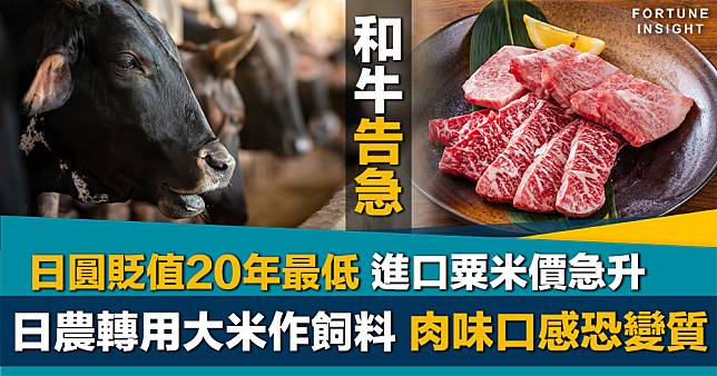 和牛變味｜日圓貶值打擊農民 買不起粟米飼料 和牛被逼轉食大米或影響肉質
